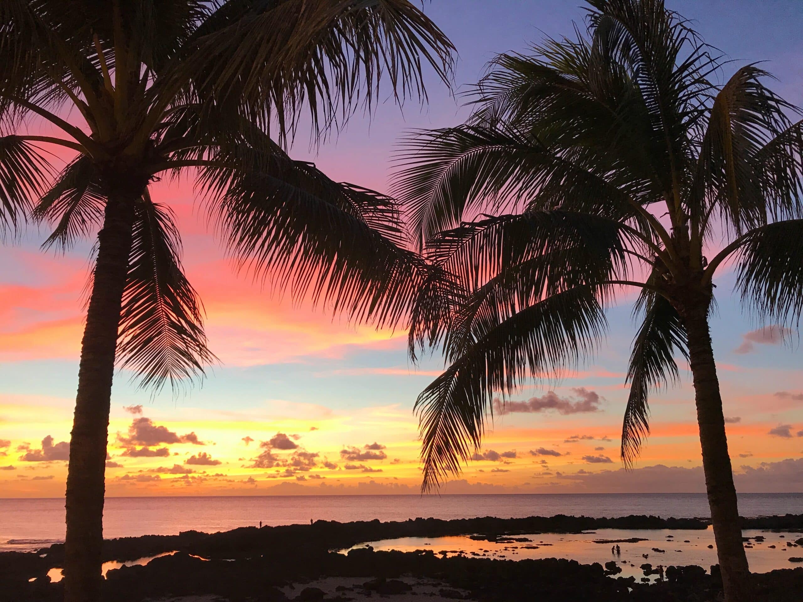 Palm tree silhouttes against an ocean backdrop at sunset. The sky is cotton candy colored with shades of pink, blue, yellow, orange, and purple.