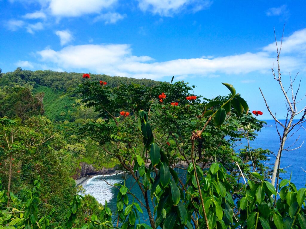 Scenic view of the ocean and lush greenery alongside the Road to Hana, Maui.