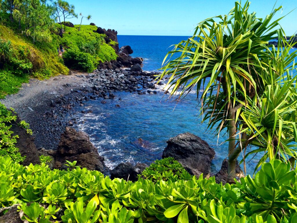 Honokalani Black Sand Beach along the Road to Hana, Maui, Hawaii.
