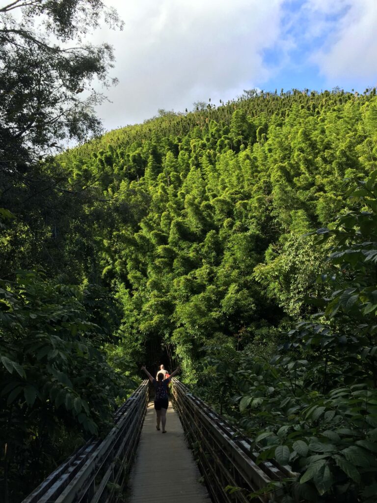 Pipiwai Trail in Haleakala National Park, Maui, Hawaii.