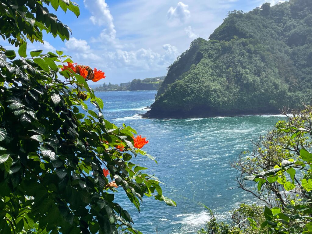 Viewpoint with flowers and mountains on the ocean on the Road to Hana, Maui.