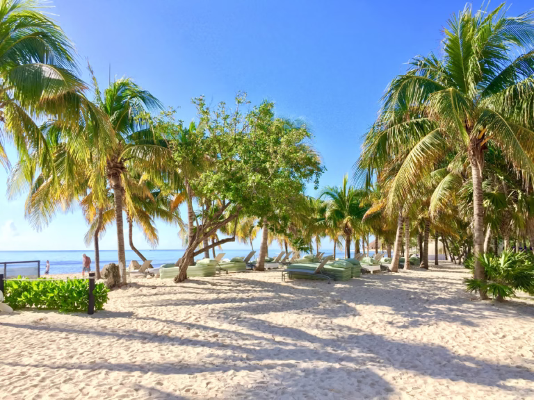 Puerto Aventuras Riviera Maya