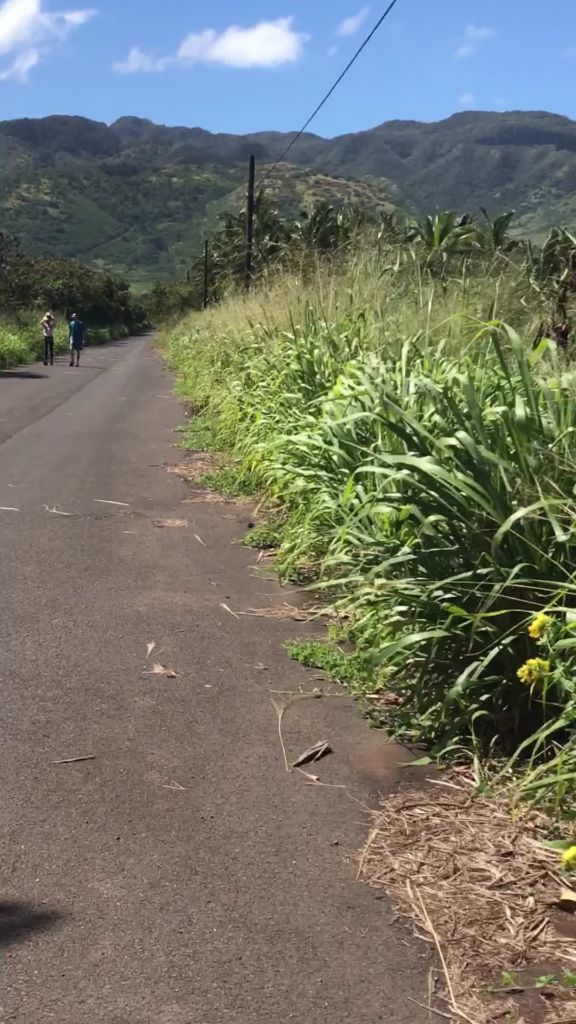 Bottom of road at Peacock Flats