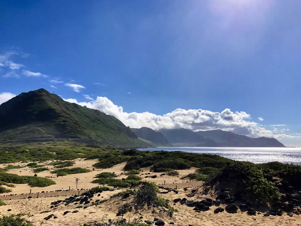 End of trail at Kaena Point