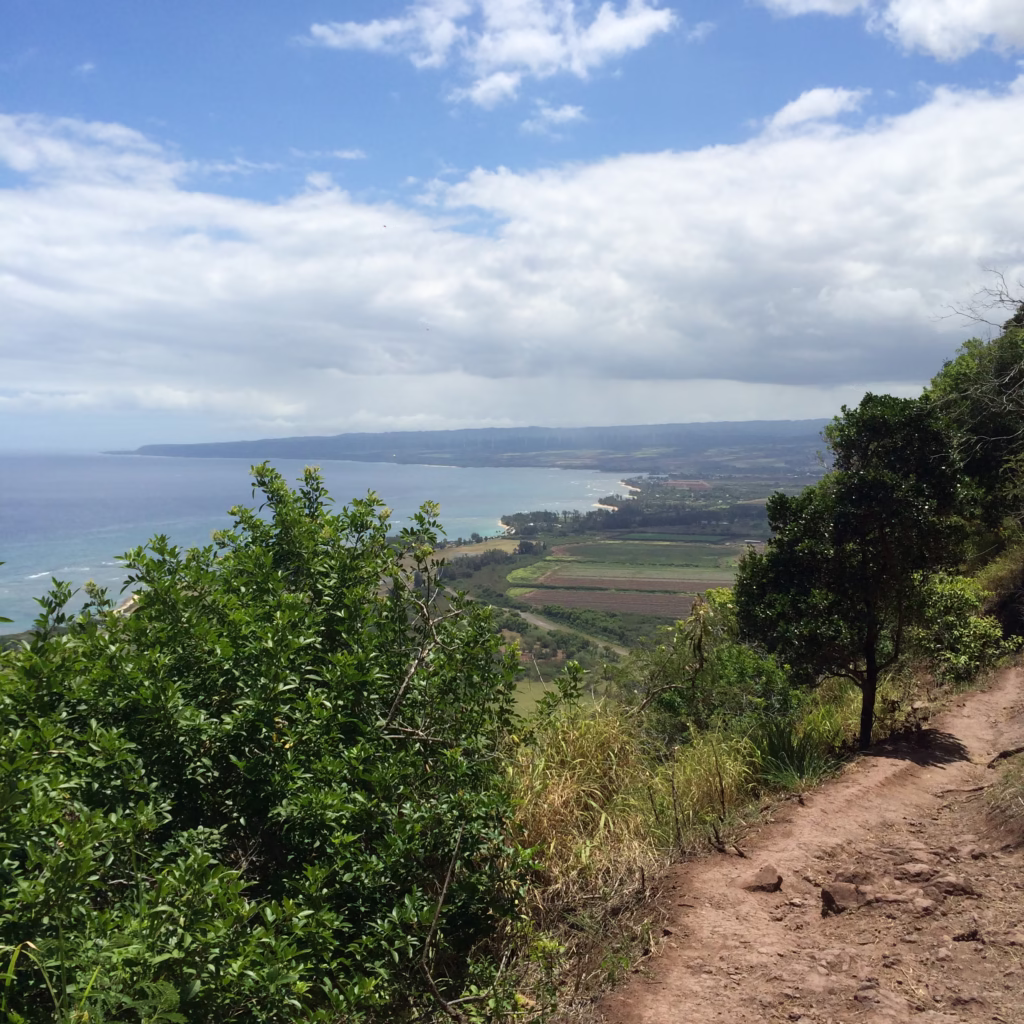 Kealia Trail switchback