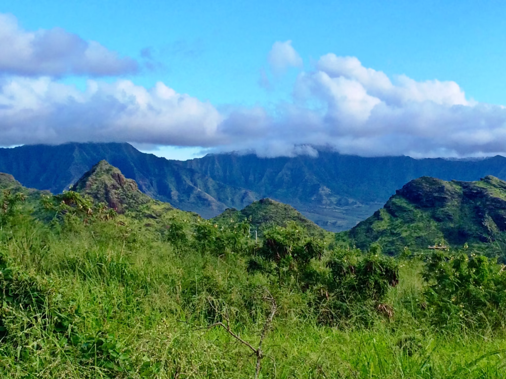 Peacock Flats mountains