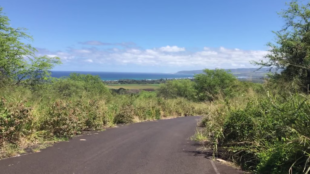 View from elevation at Peacock Flats
